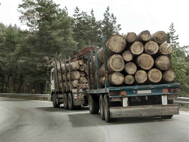 inner_big_trucks_01 https://www.itetservizi.it/wp-content/uploads/2017/08/inner_big_trucks_01-640x480.jpg